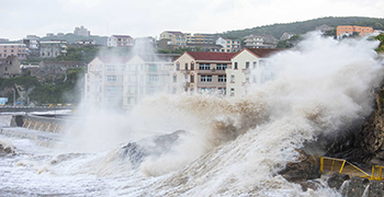 臺(tái)風(fēng)過(guò)后墻壁發(fā)霉層出不窮？還不趕緊備好除霉劑？