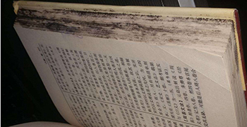 收藏的圖書為什么會發(fā)霉？圖書的防霉措施！