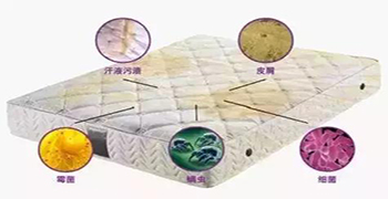 防霉劑廠家為你解答床墊細(xì)菌多不多？
