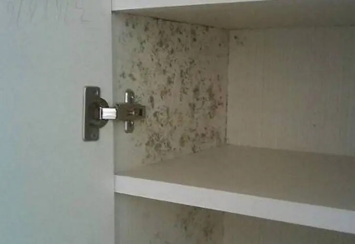 衣柜發(fā)霉了怎么辦？