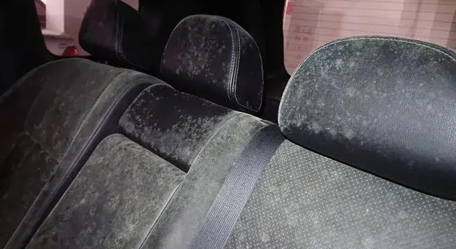 汽車內(nèi)飾發(fā)霉是什么原因？該怎么辦?