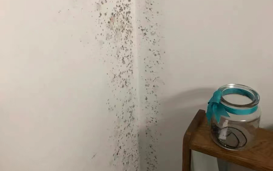 墻面發(fā)霉怎么處理？教你一招自己在家就能解決