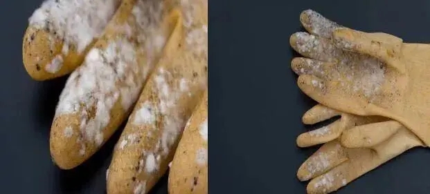 塑膠手套發(fā)霉了怎么辦？工廠必看塑膠手套防霉方案！