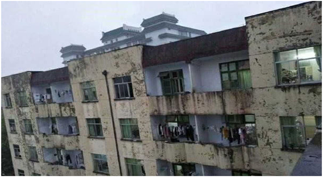 學校發(fā)霉