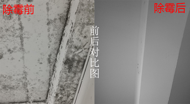 細節(jié)除霉對比圖