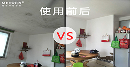 除霉對(duì)比照片